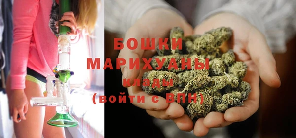 гидропоника Лагань