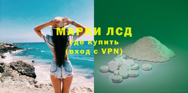 шишки Лабытнанги