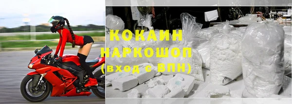 шишки Лабытнанги
