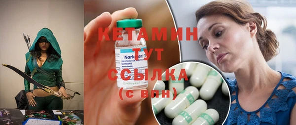 шишки Лабытнанги
