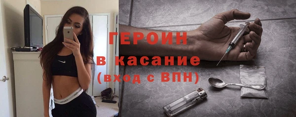 шишки Лабытнанги