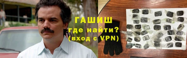 шишки Лабытнанги