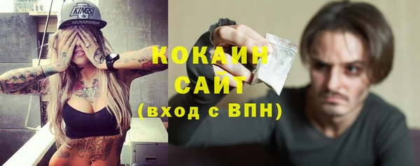 шишки Лабытнанги