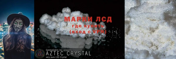 шишки Лабытнанги