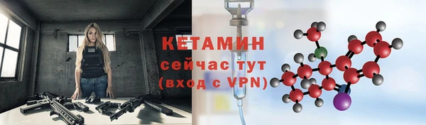 шишки Лабытнанги