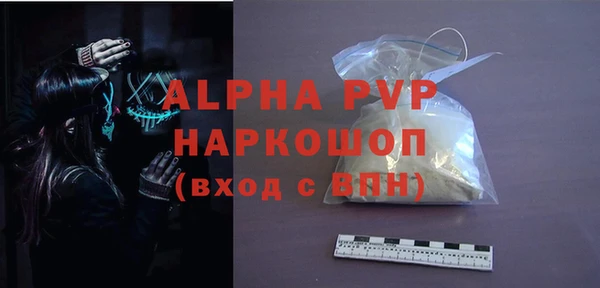 шишки Лабытнанги