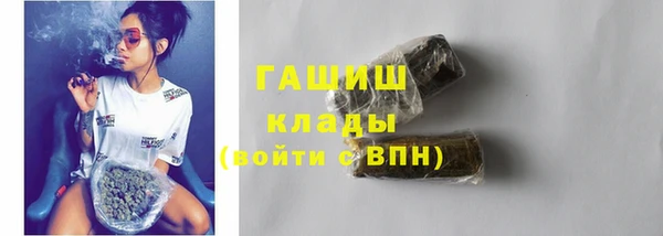 шишки Лабытнанги
