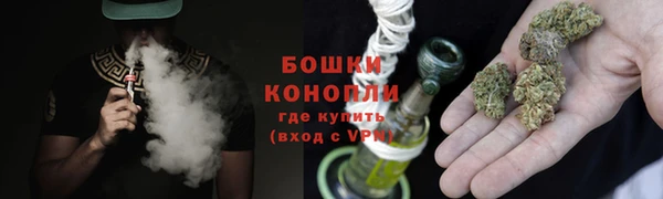 шишки Лабытнанги