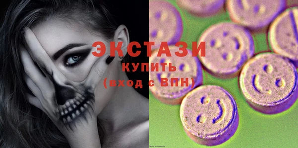 шишки Лабытнанги
