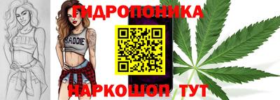 винт Донецк