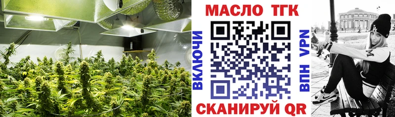 Дистиллят ТГК THC oil как найти закладки Лосино-Петровский
