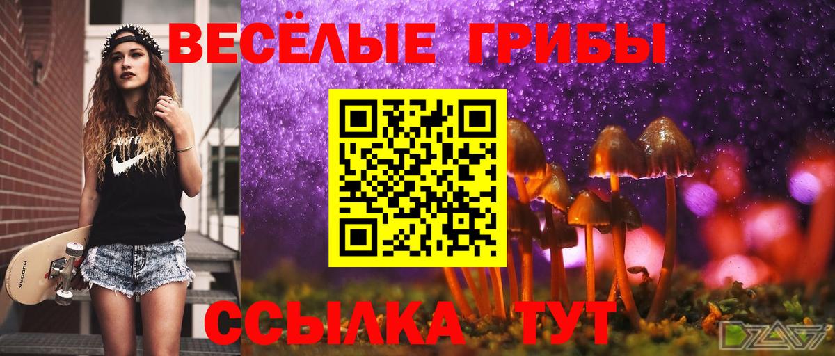 Галлюциногенные грибы мухоморы Лосино-Петровский
